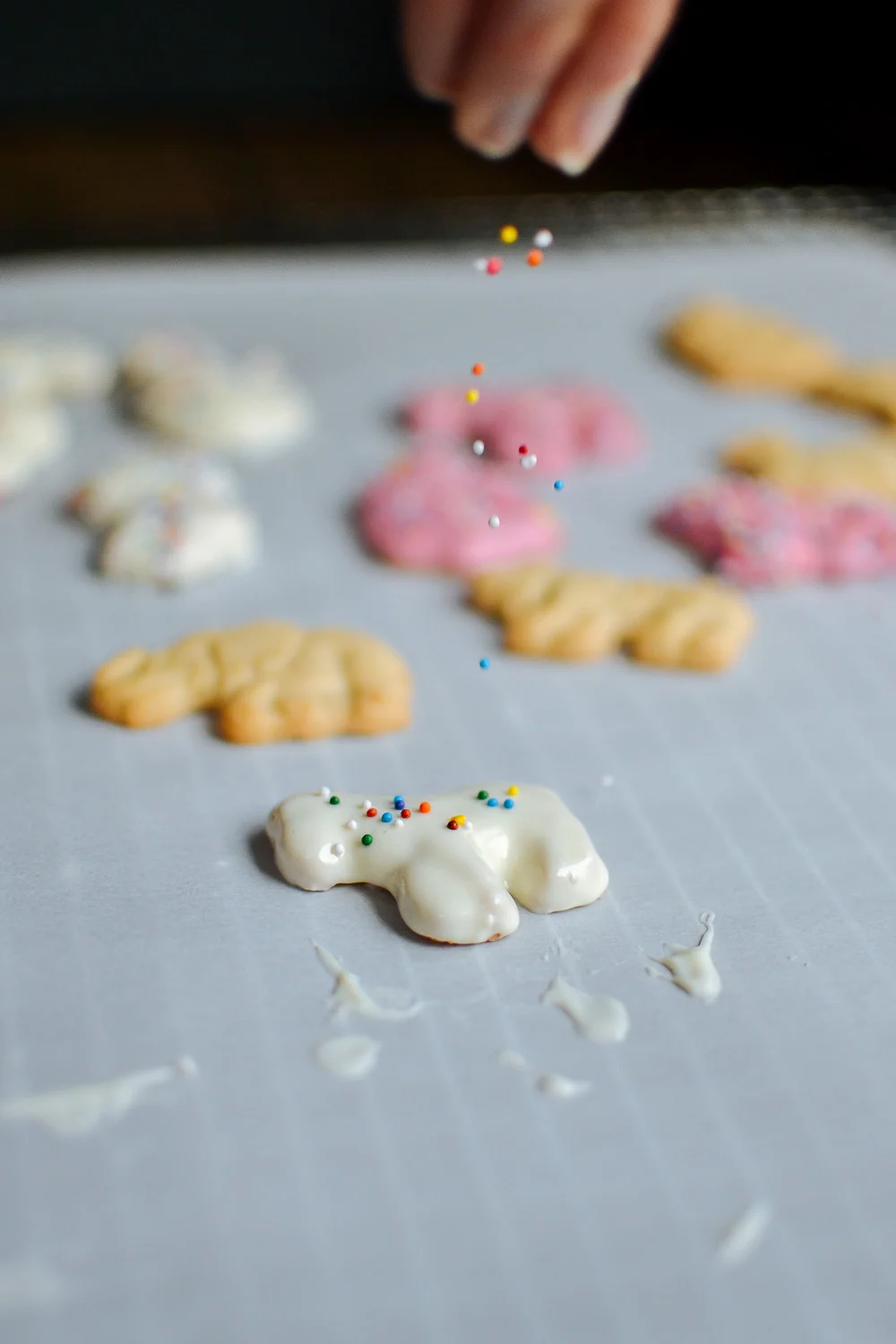 handdipped animal crackers and a carnival cake — the farmer's daughter