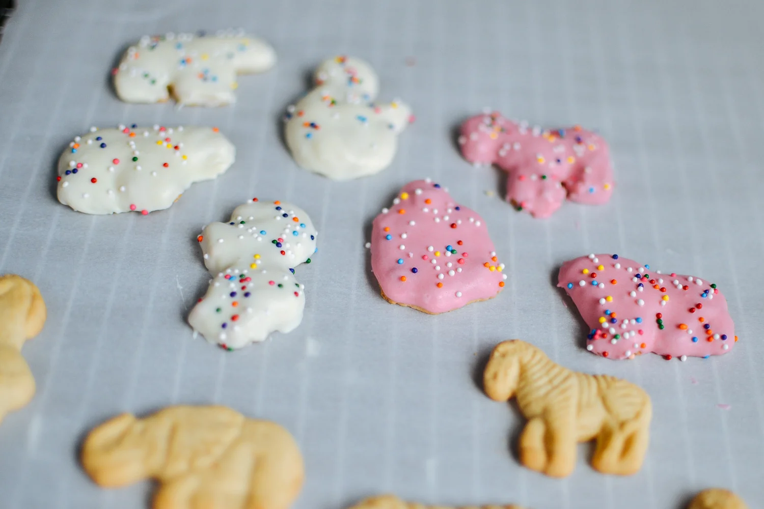 handdipped animal crackers and a carnival cake — the farmer's daughter