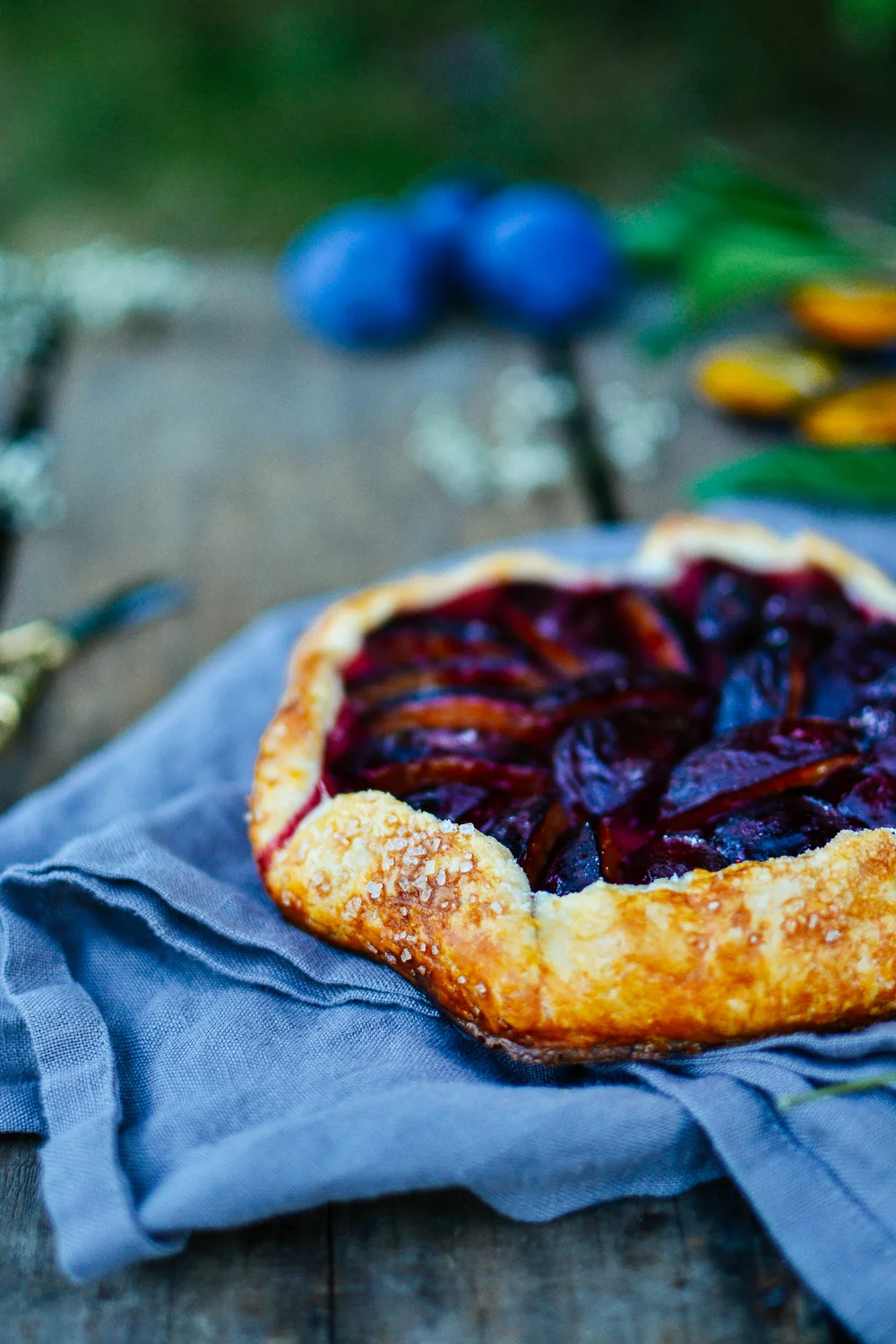 plum galette — the farmer's daughter let's bake something