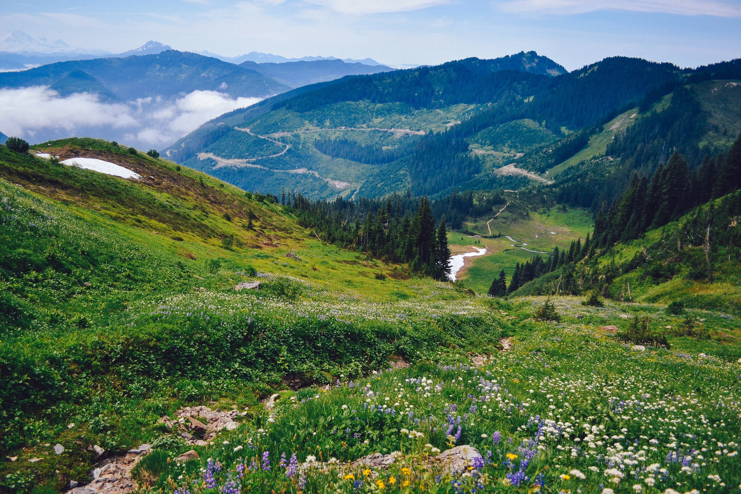 Mt Cheam in Chilliwack. Photo by me.