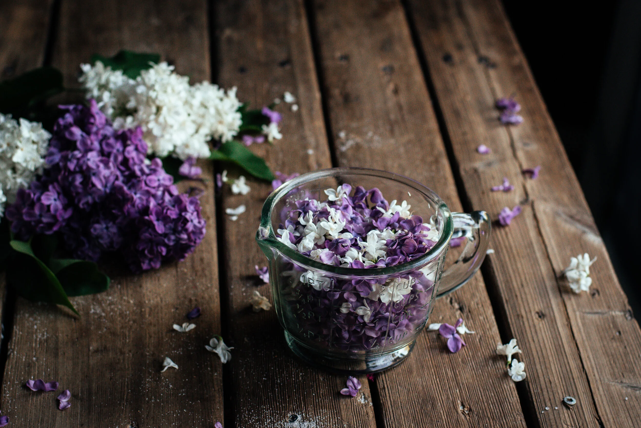 lilac sugar and syrup — the farmer's daughter let's bake something