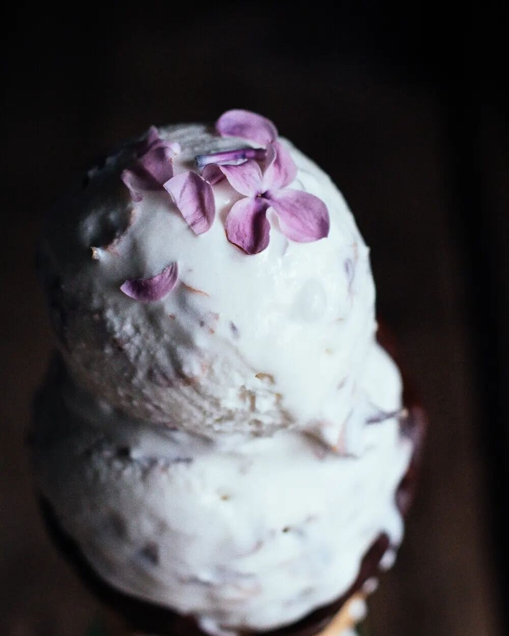 In full icecream wave during this May heatwave we're experiencing 🥵😬 This lilac ice cream would hit the spot perfectly 🍦

The recipe for both no churn &amp; machine ice cream are linked in my profile! 💜 

#edibleflowers #lilacs #floralbaking