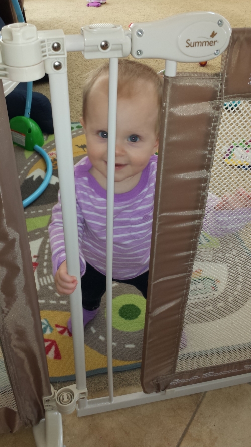 Baby gates are good for one thing: guilt. 