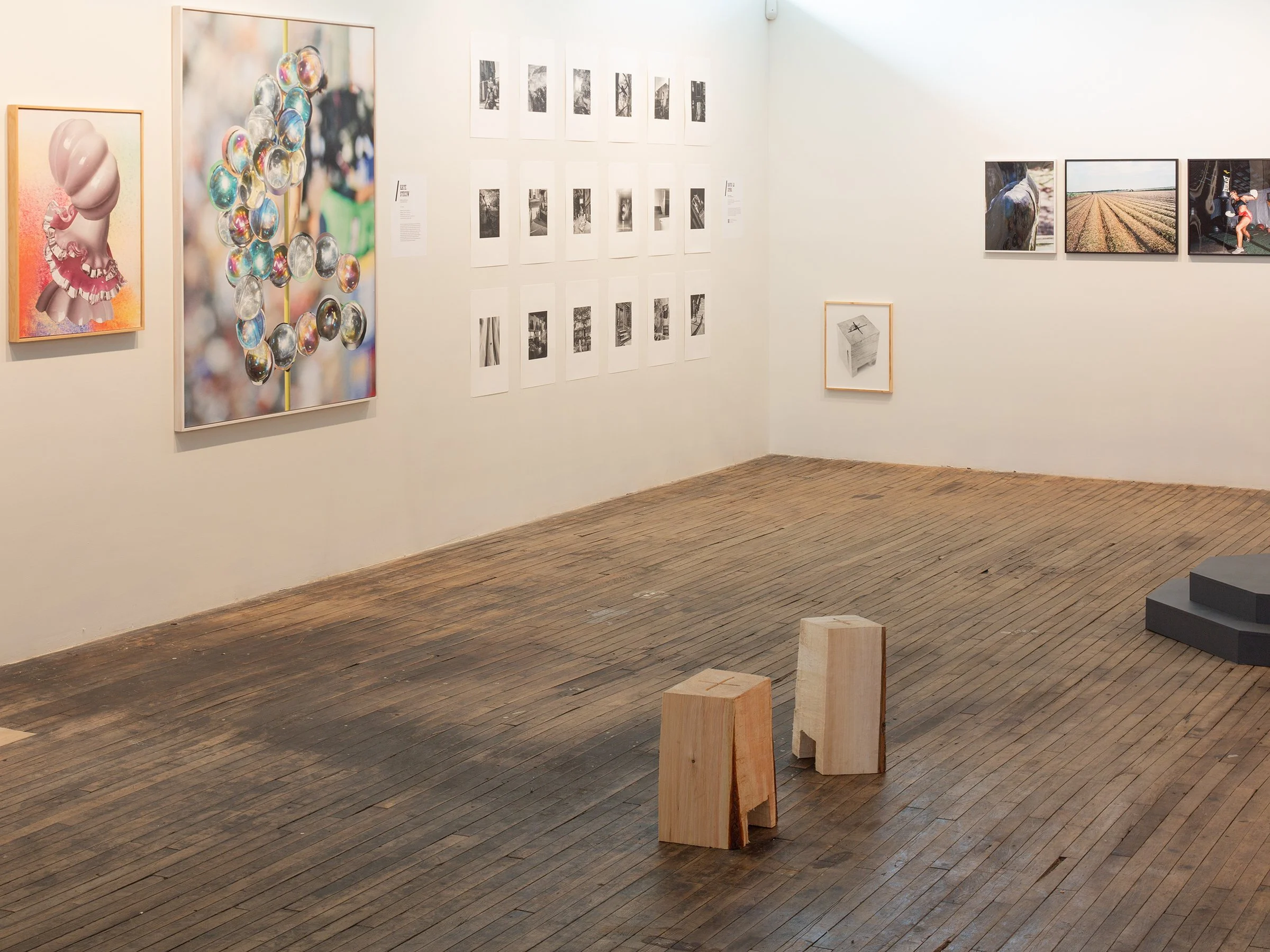 CPW_biennial_SamMargevicius_05 copy.jpg