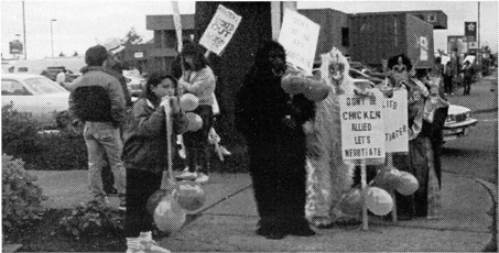 1989 picketer protest at North Auburn Albertson's store..png