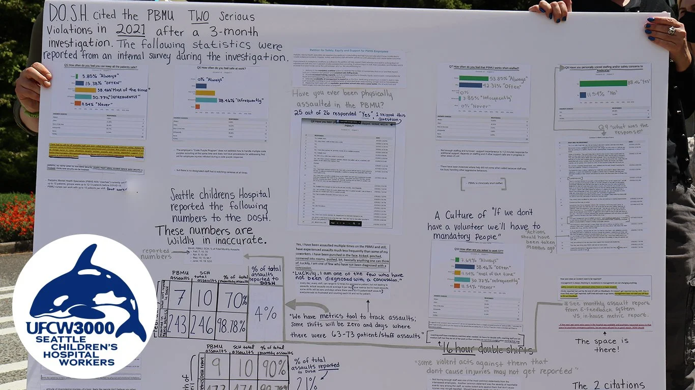 SCH organize 5.jpg