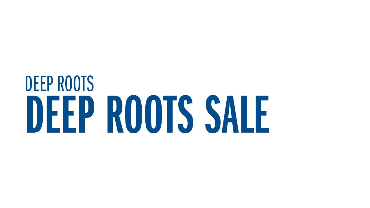 Deep Roots - Deep Roots Sale