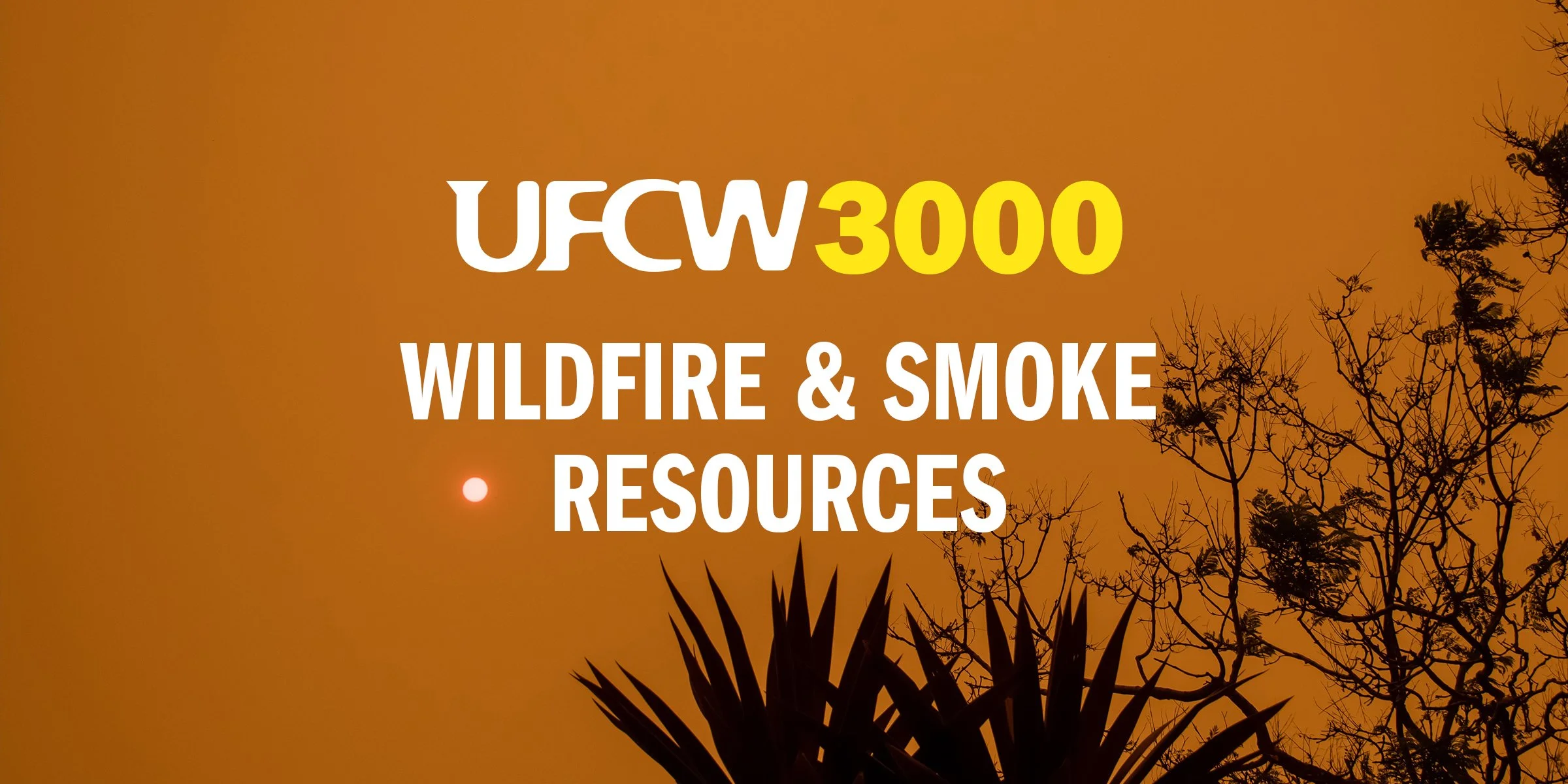  Wildfire and Smoke Resources for UFCW 3000 Members 