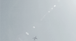 tumblr_ojbranHW4u1u6v0mfo10_r1_250.gif