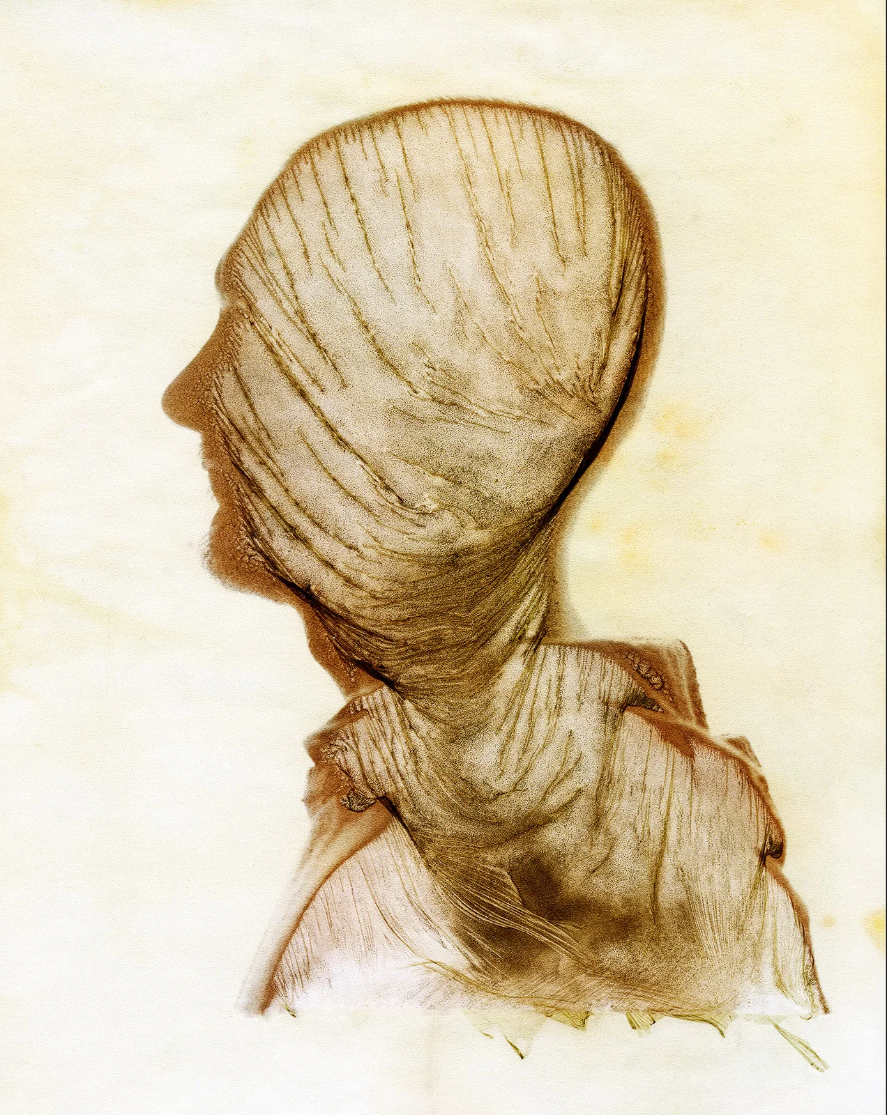 Brian Culbertson_Visage20.jpg