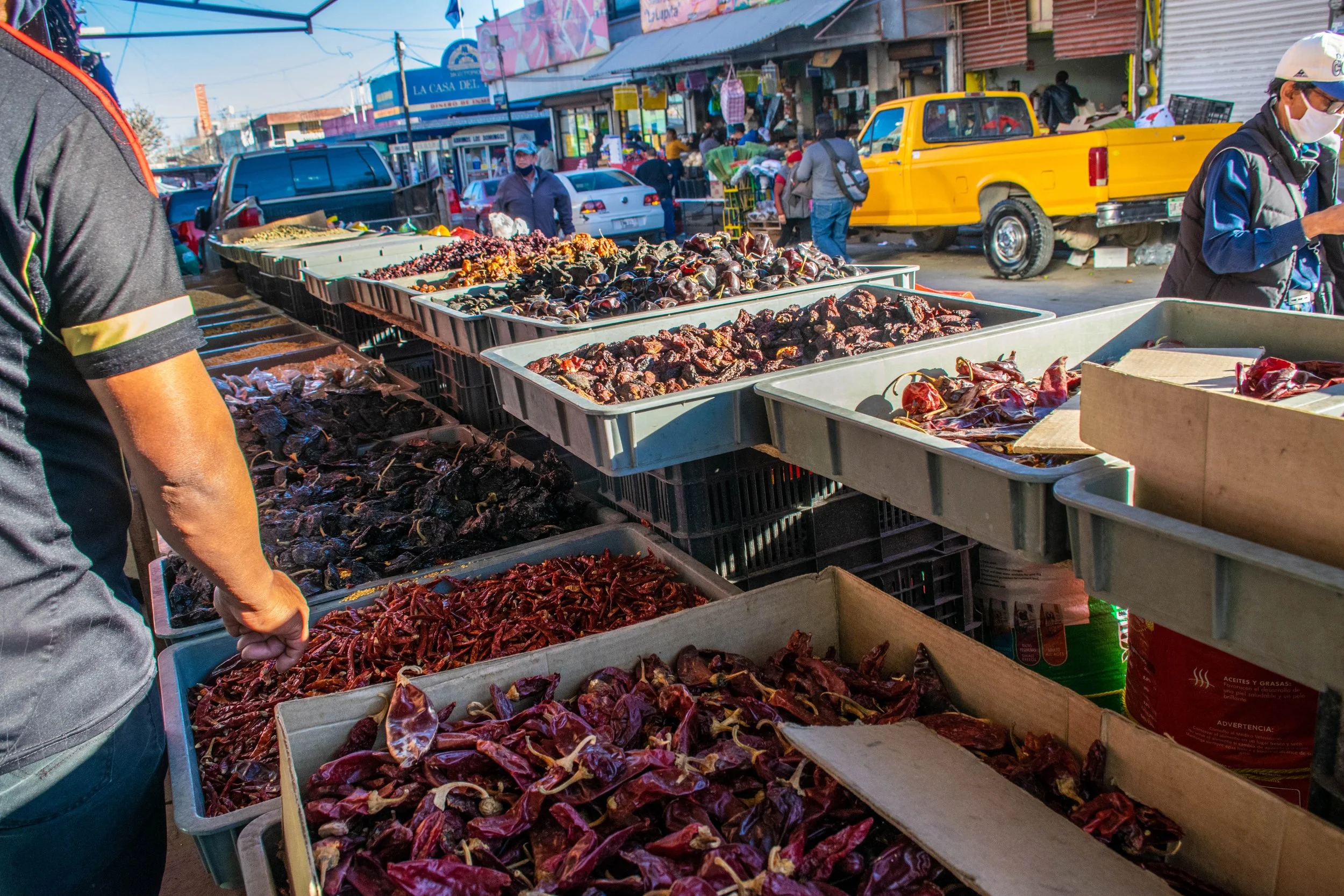 Eliu Mendoza-Marcelino_ Variety2.jpg