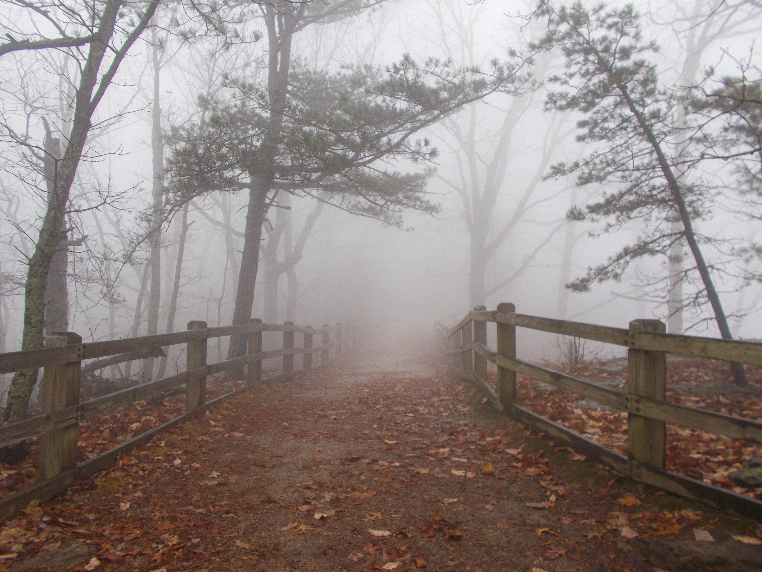 Amber Harr - Digital Photogrpahy 1 - Craven Community College 2019.JPG