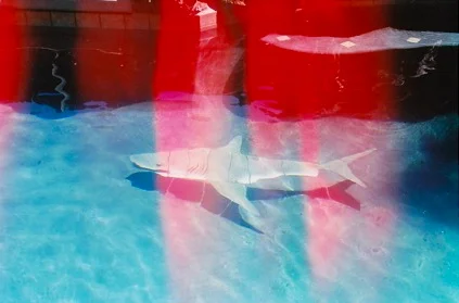 Custom In Pool Tile Mosaics
