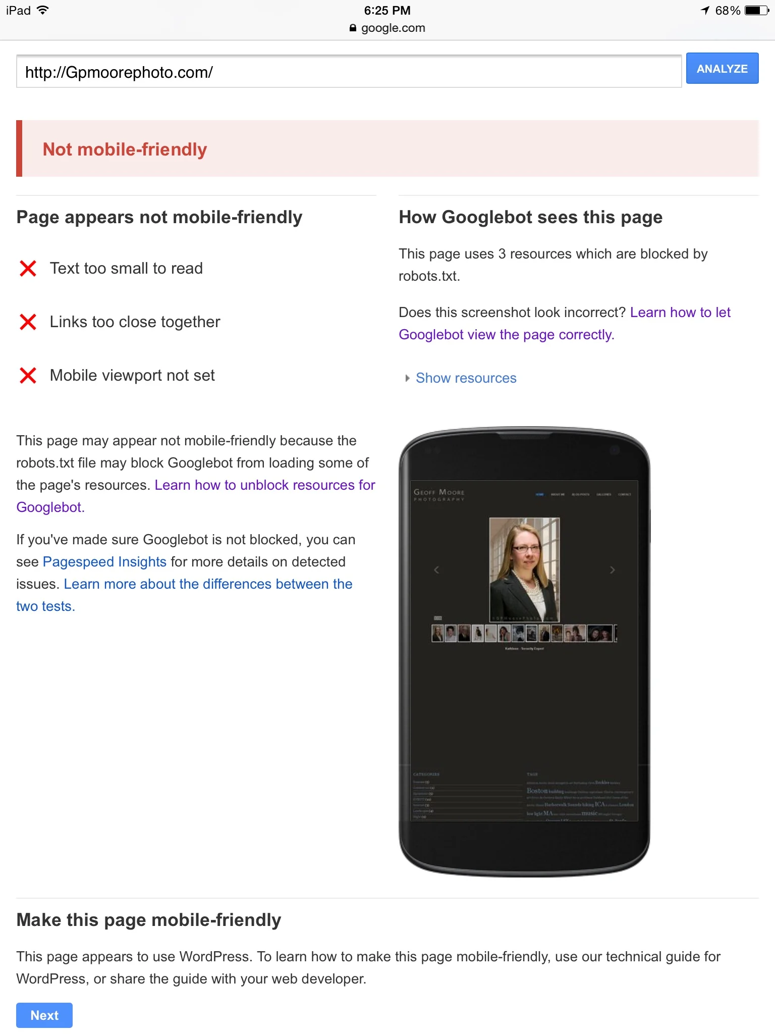 Wordpress/Photocrati/GoDaddy combination is not Google mobile friendly.