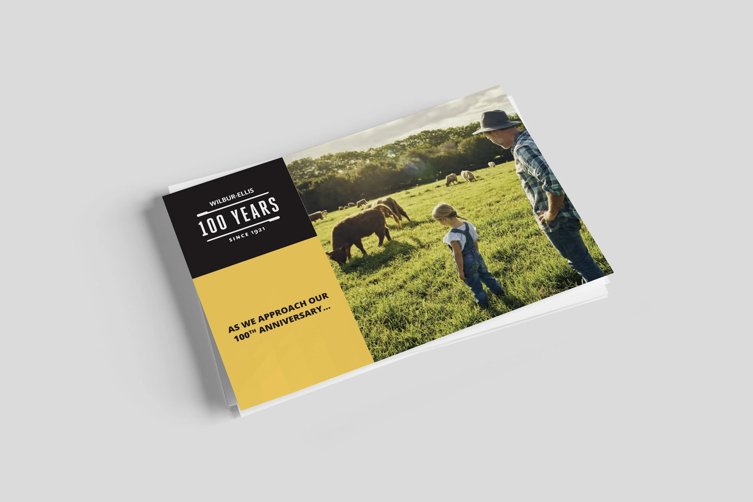 WE_Postcard.jpg