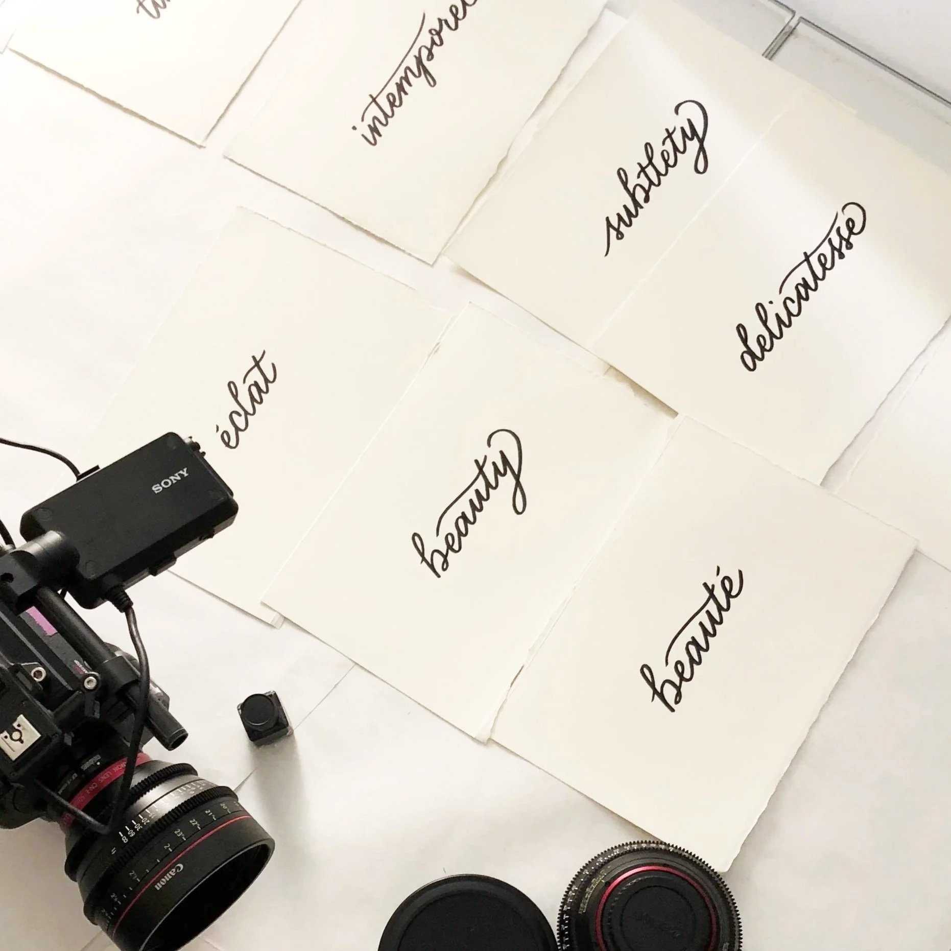 COTY_Metropolitan_BehindTheScenes_edit.jpg