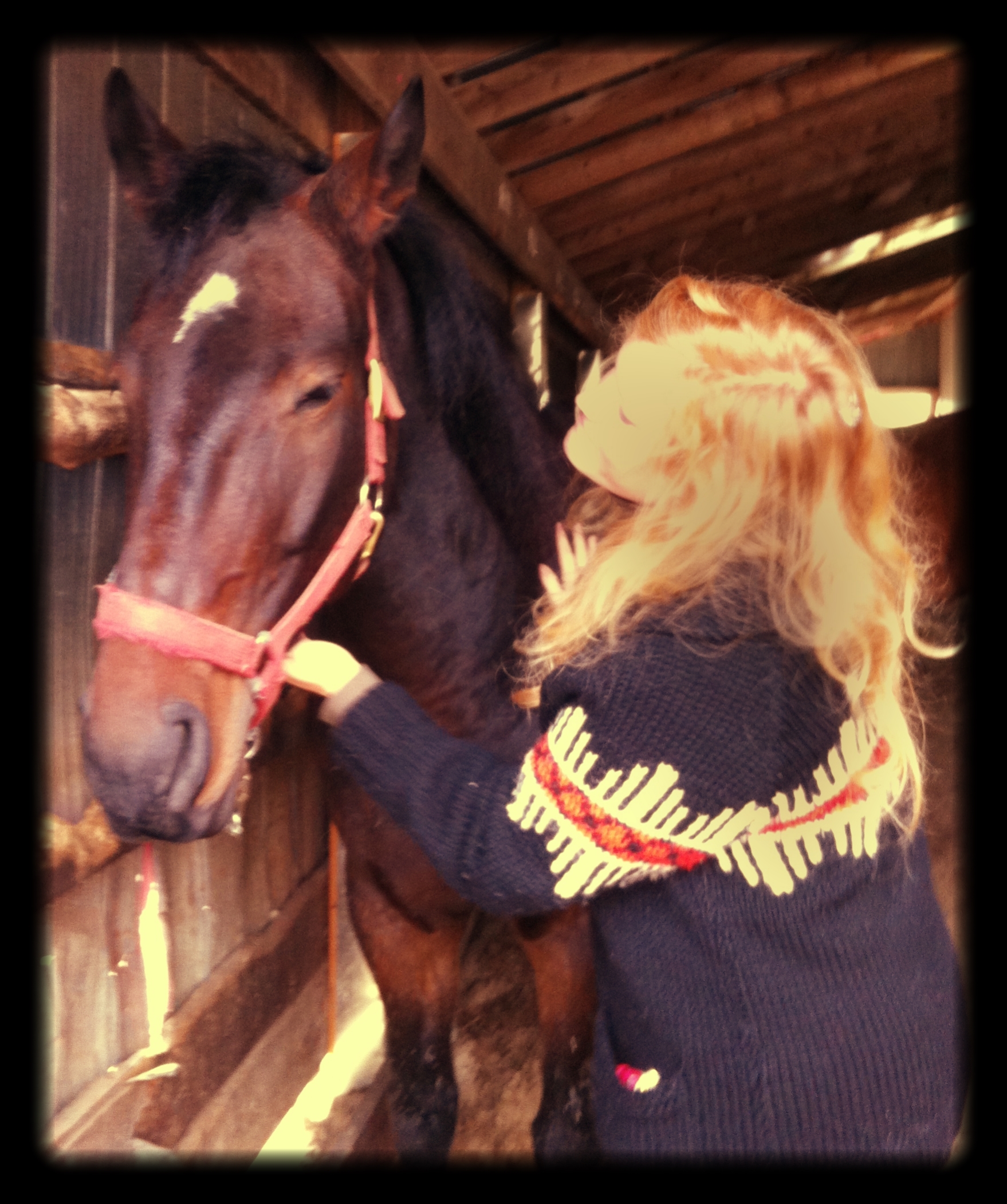 Lindsay_and_Cleo_the_Magnificent_Horse