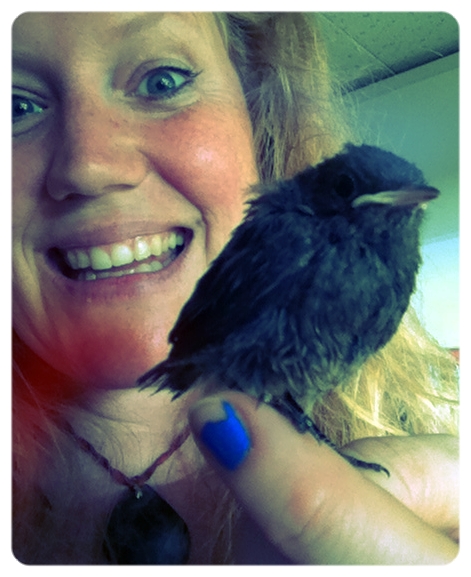 We_saved_a_bird_once