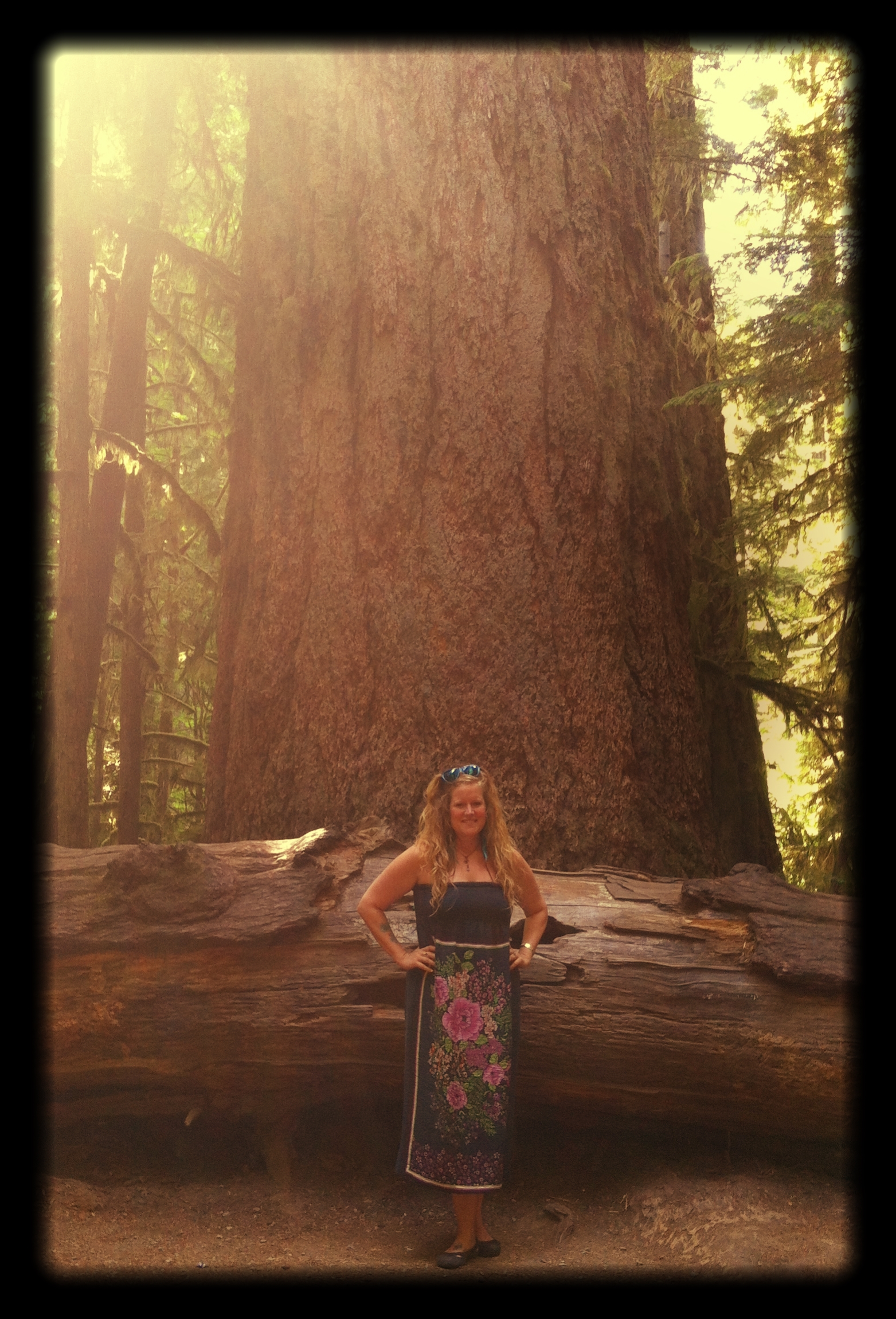Lindsay_and_Doug_in_Catherdral_Grove