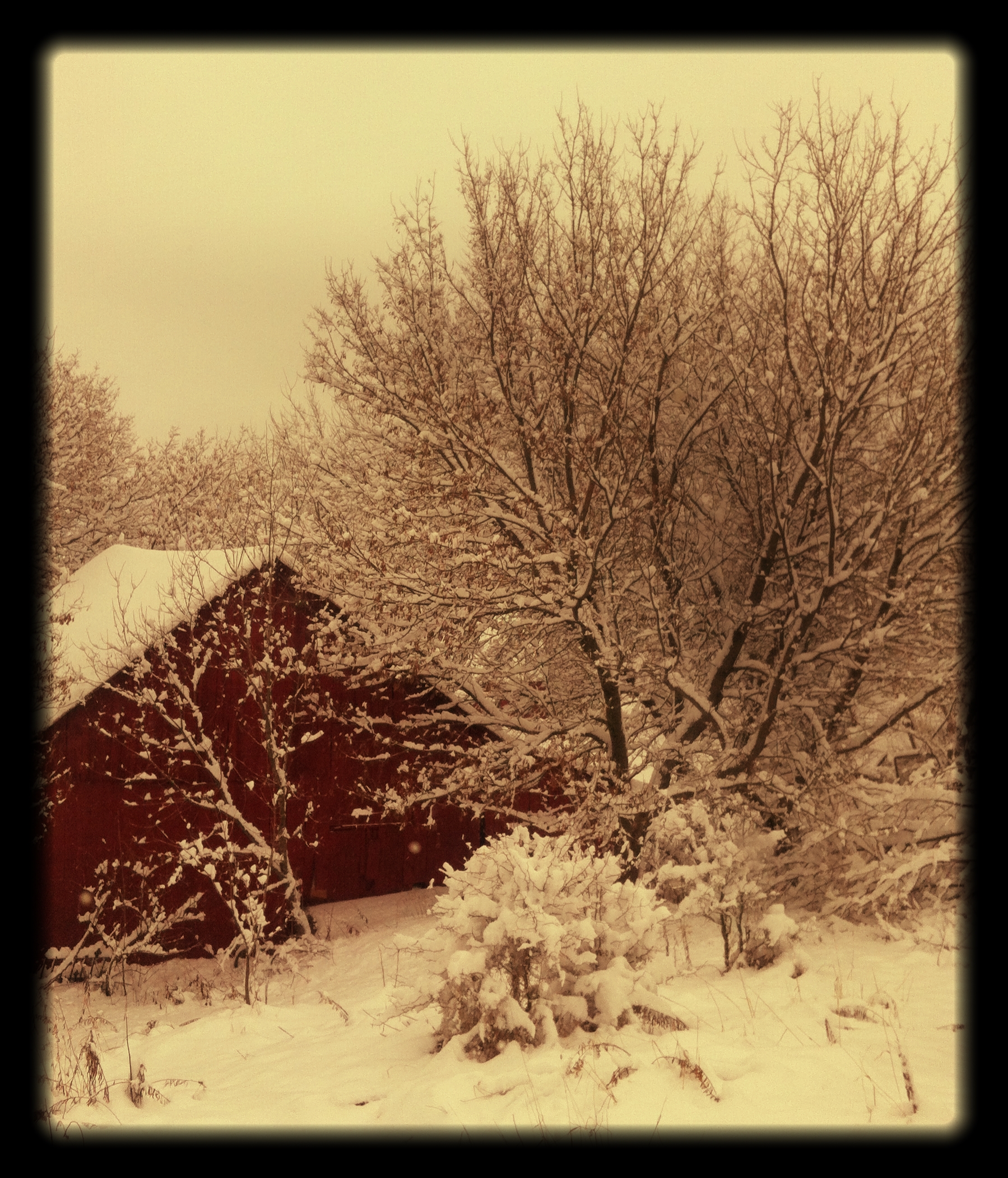 A_trailers_view