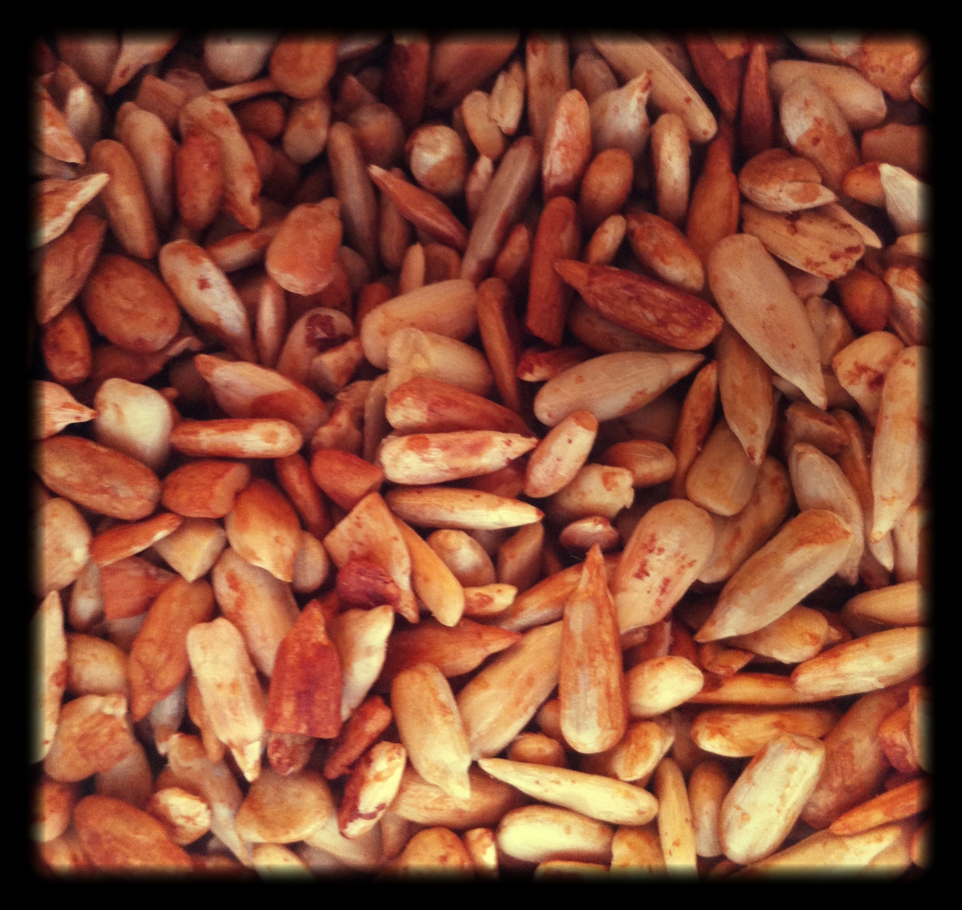 Golden_Roasted_Sunflower_Seeds
