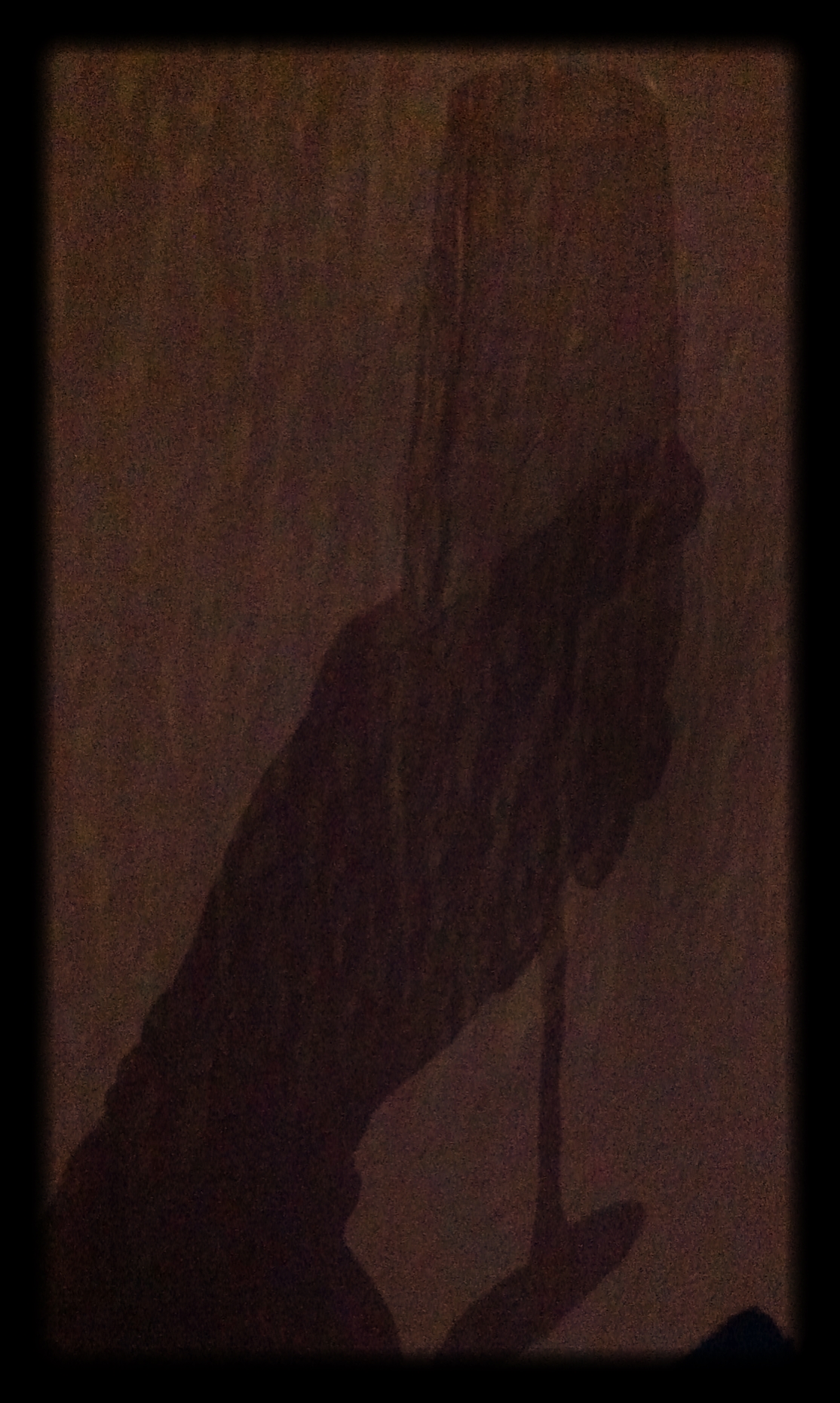 My_hand_holding_a_wine_glass_in_shadow