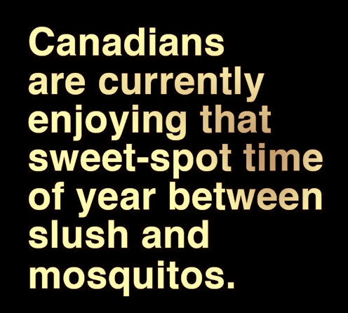Funny_Quote