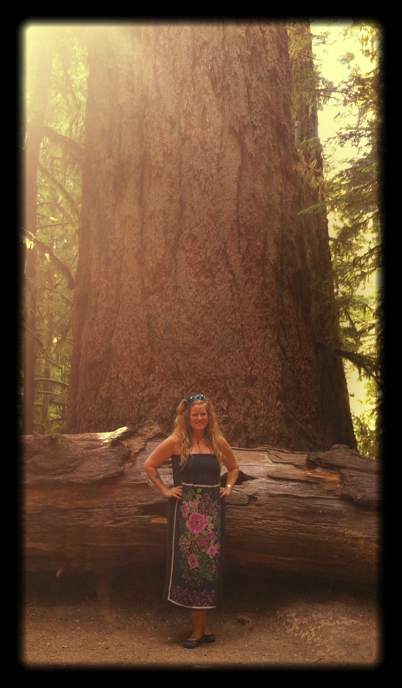 Me_and_a_massively_huge_Douglas_Fir_in_Cathedral_Grove
