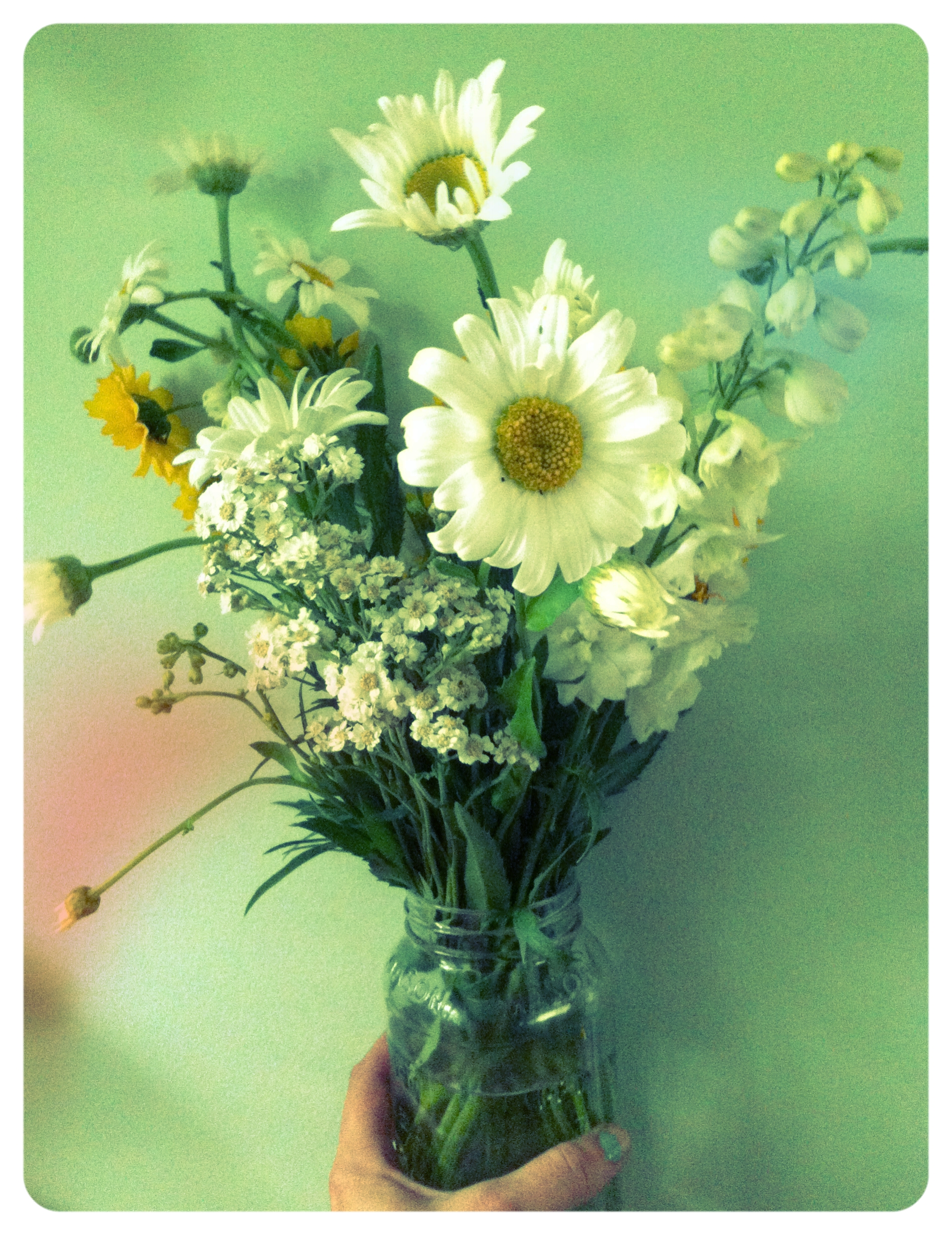 A_beautiful_vase_of_fresh_flowers