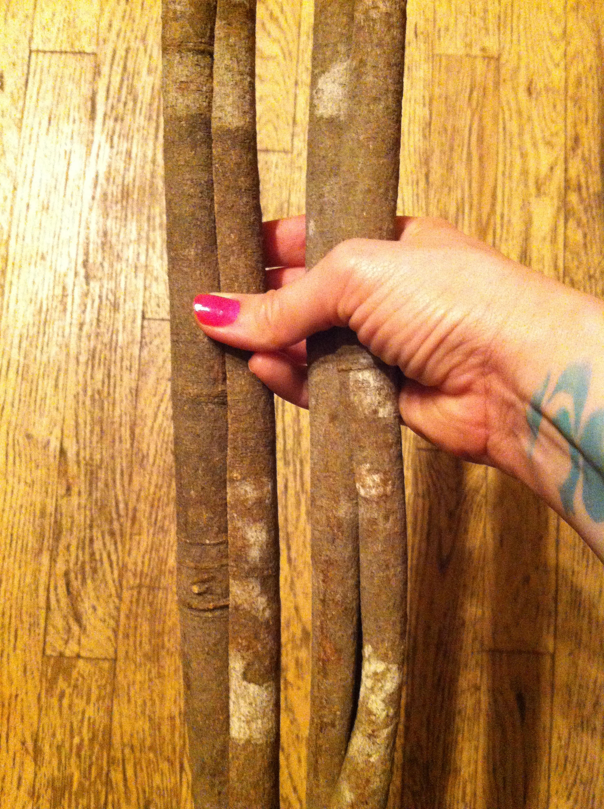 The_biggest_cinnamon_sticks_ever