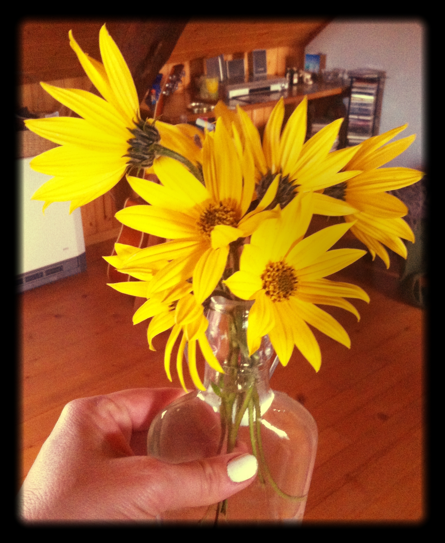 Jerusalem_Artichoke_Flowers_in_a_Vase