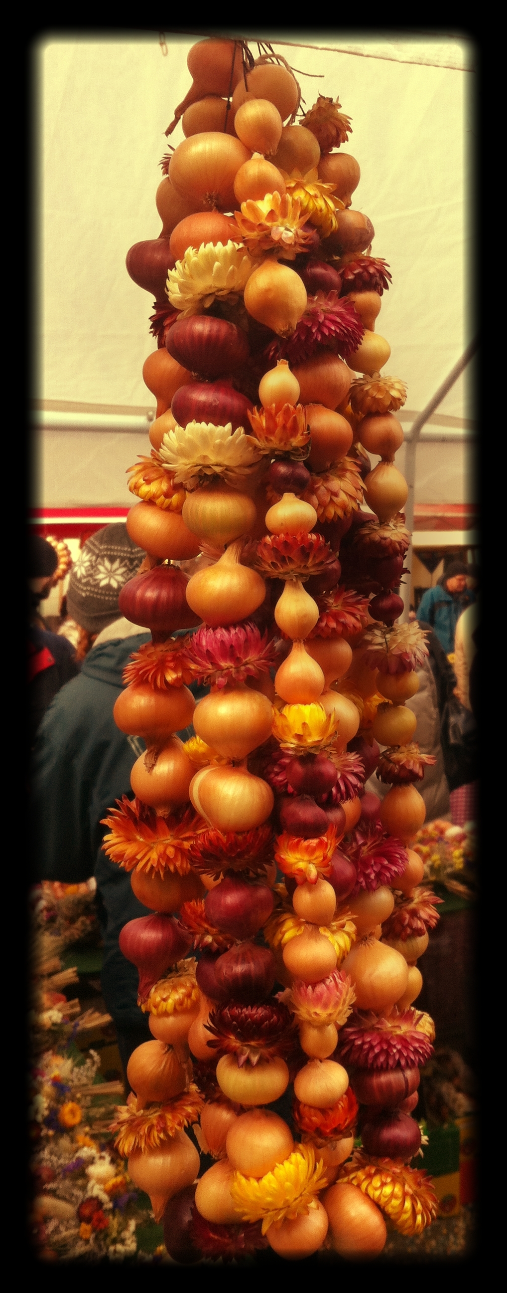 Onion_art