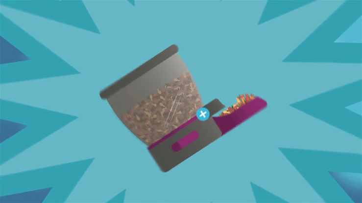 Cat Starter Case Study-high.gif