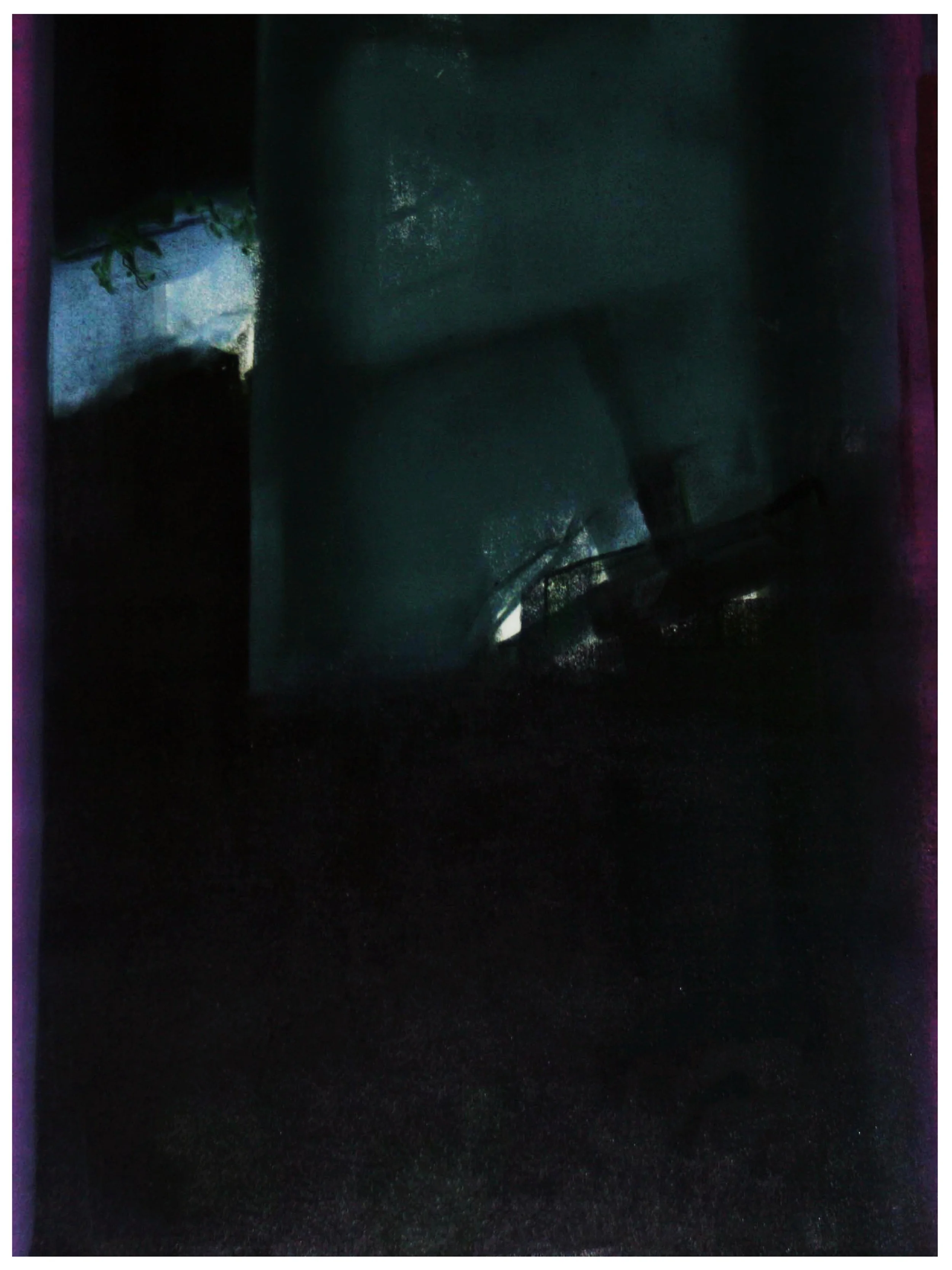 Vol de nuit Monoprint 81cm x 61cm