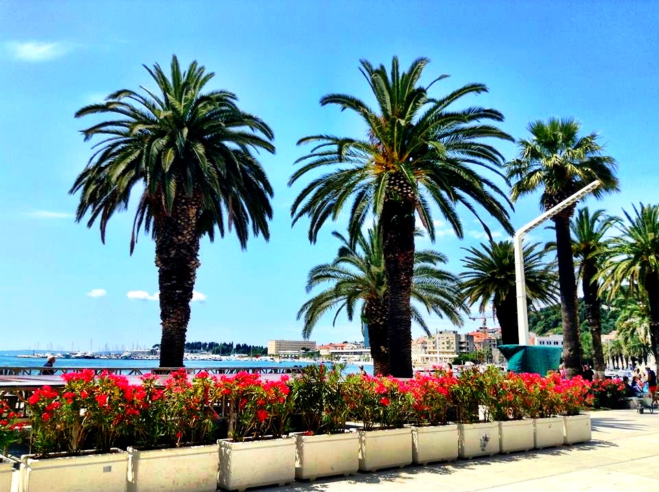 Along the Riva