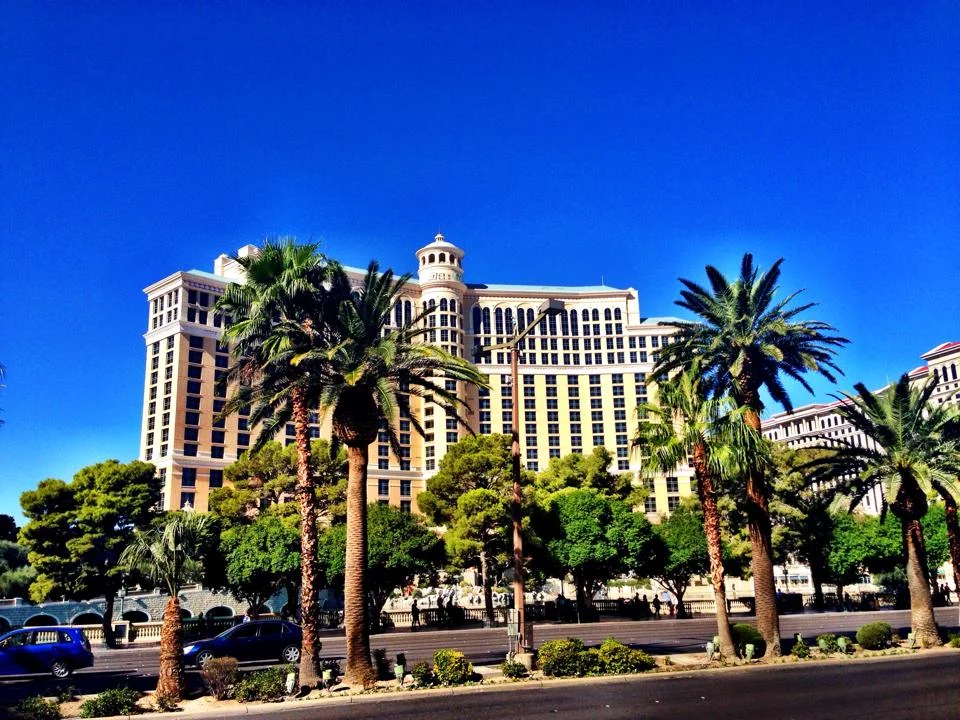 The Bellagio Hotel