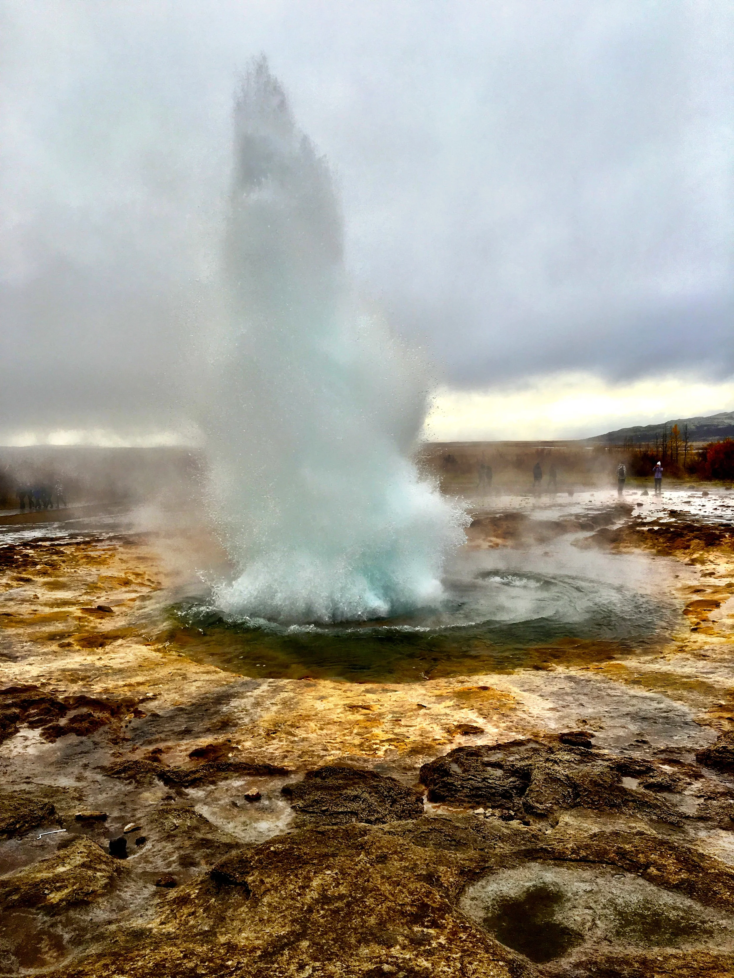 The main "geyser" in the park! 