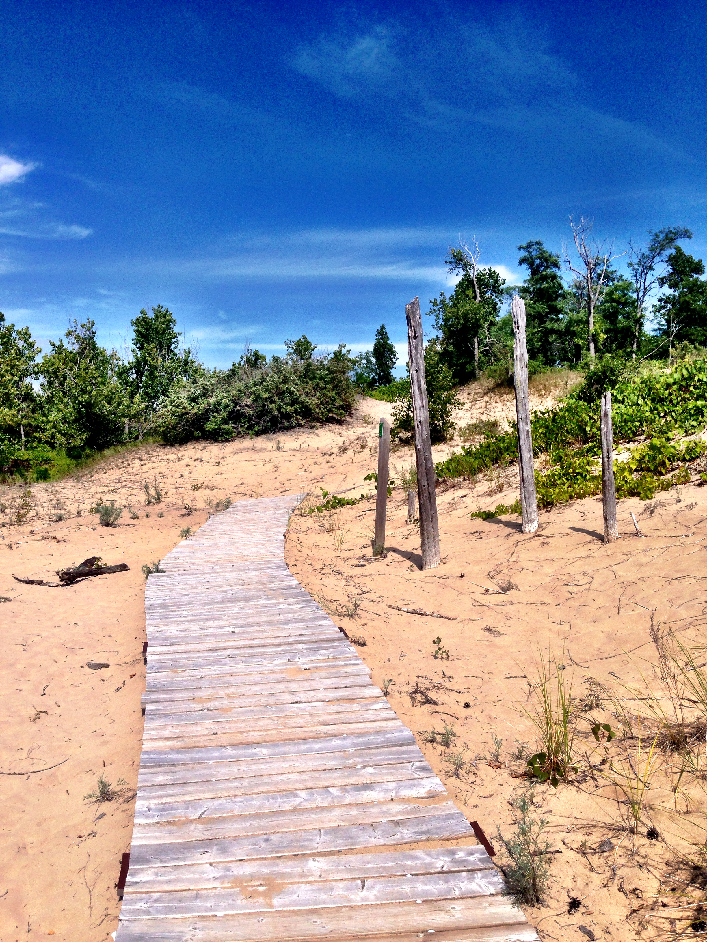 Sandbanks- The Dunes Trail