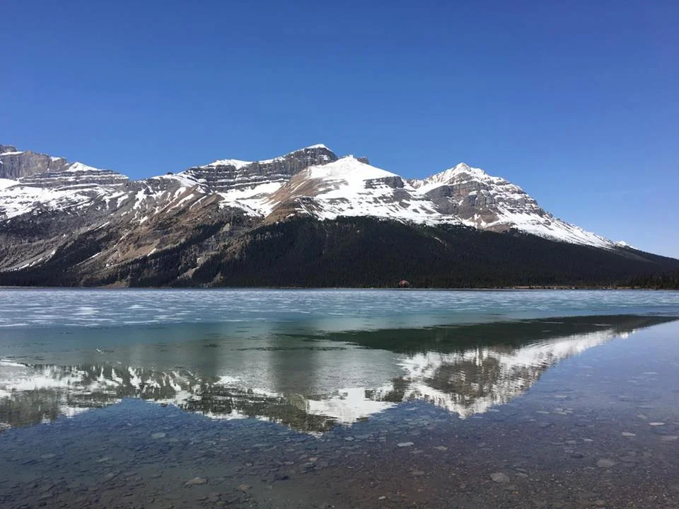 One of the many stops along the road to Jasper