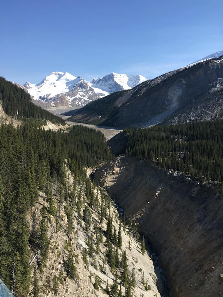 Views from the Skywalk
