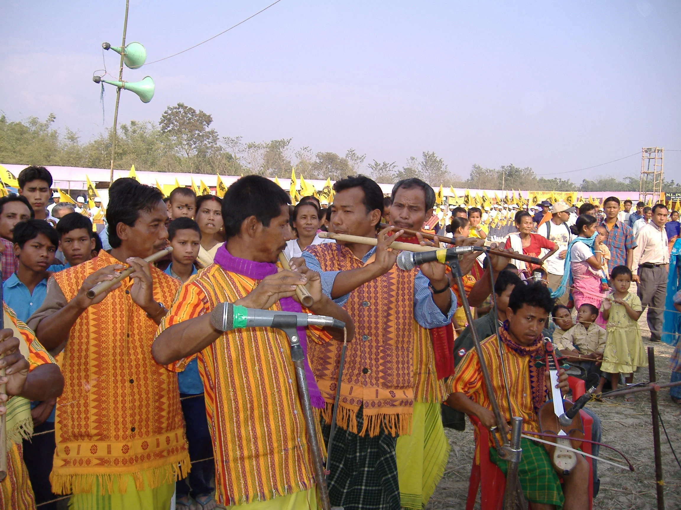 Musical instrument.JPG