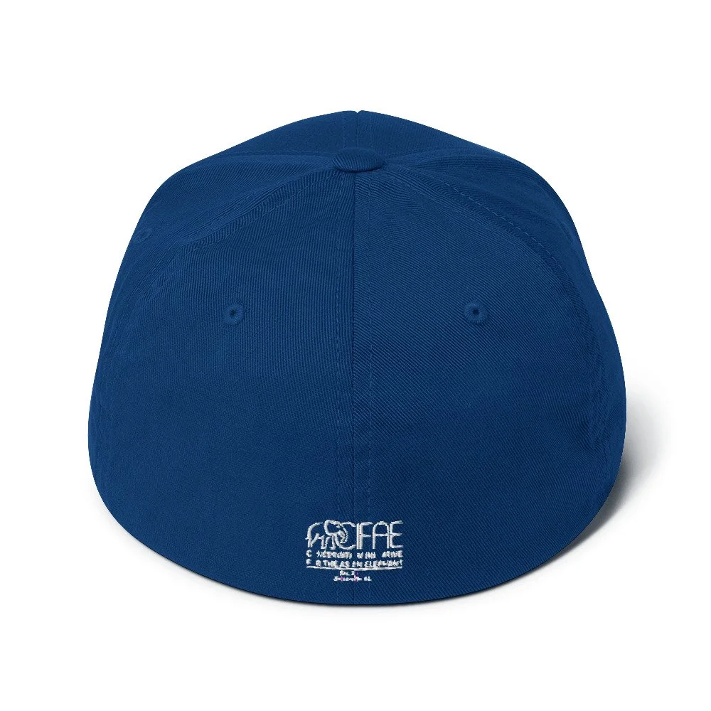closed-back-structured-cap-royal-blue-back-64d3dedb1ecb4.jpg