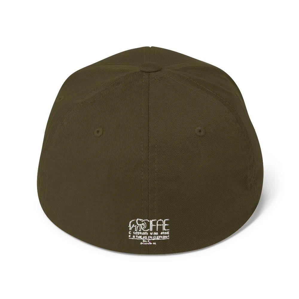 closed-back-structured-cap-olive-back-64d3dedb1f070.jpg