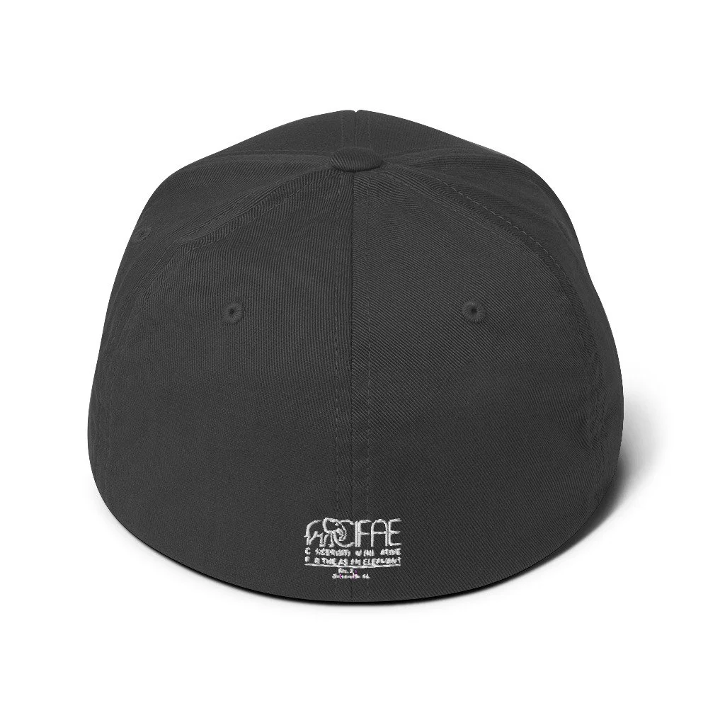 closed-back-structured-cap-dark-grey-back-64d3dedb1f4b2.jpg