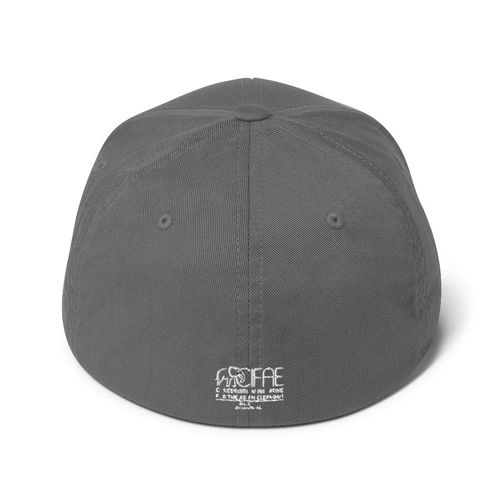 closed-back-structured-cap-grey-back-64d3dedb1fe4e.jpg