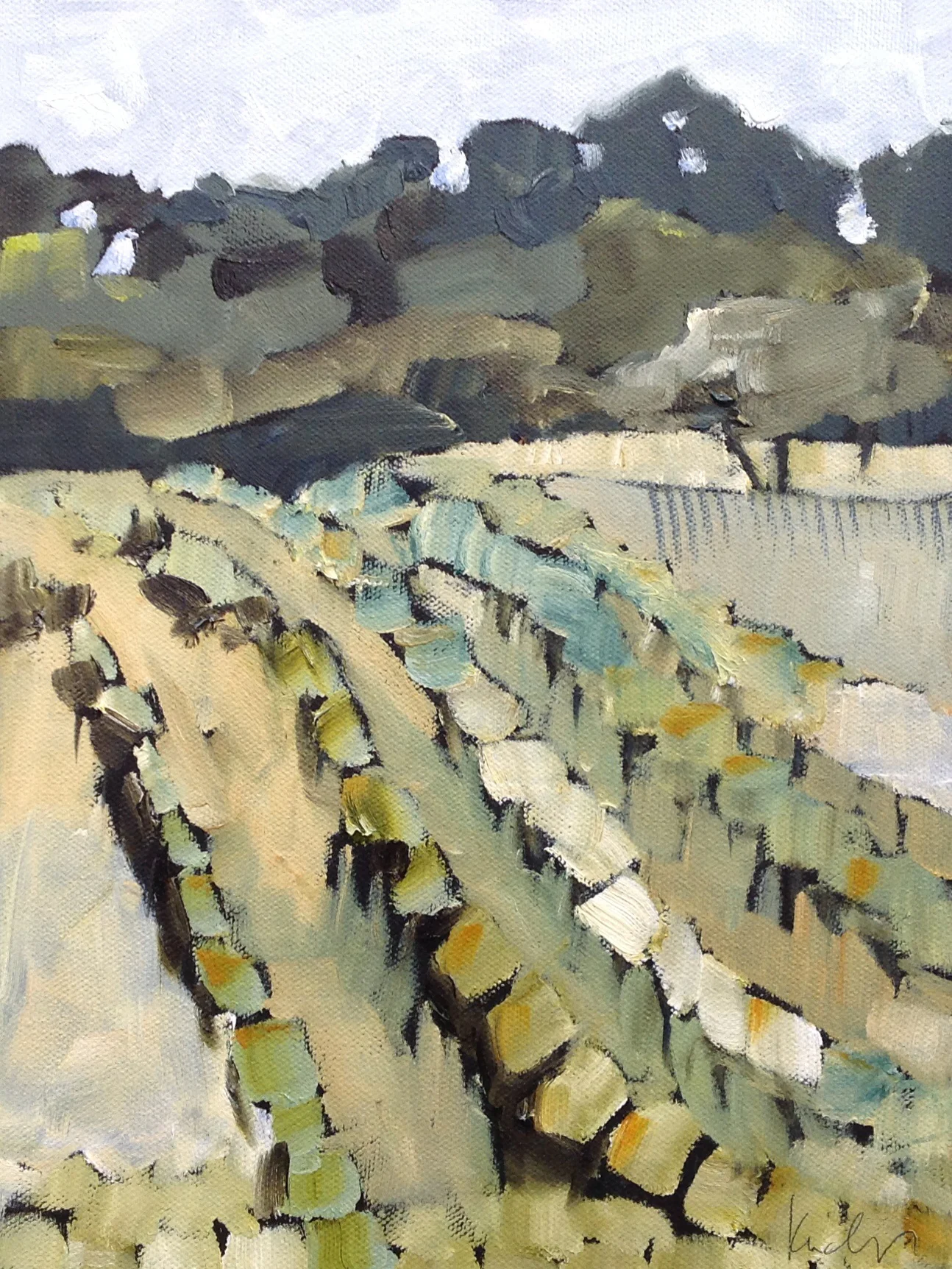 Grape Field