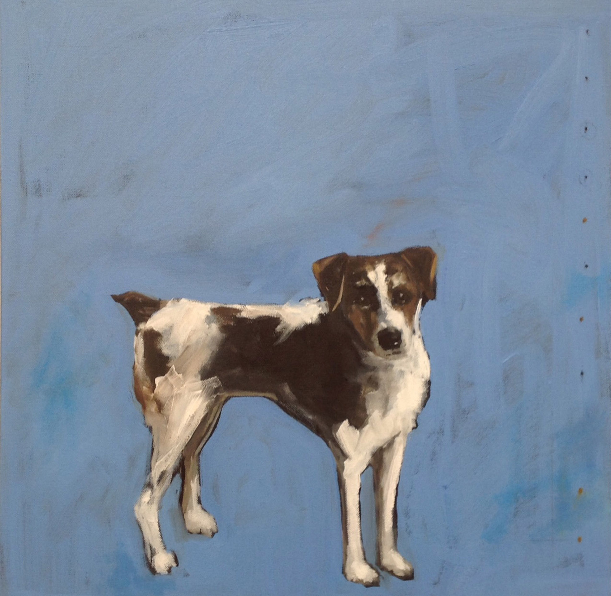 Blue Dog