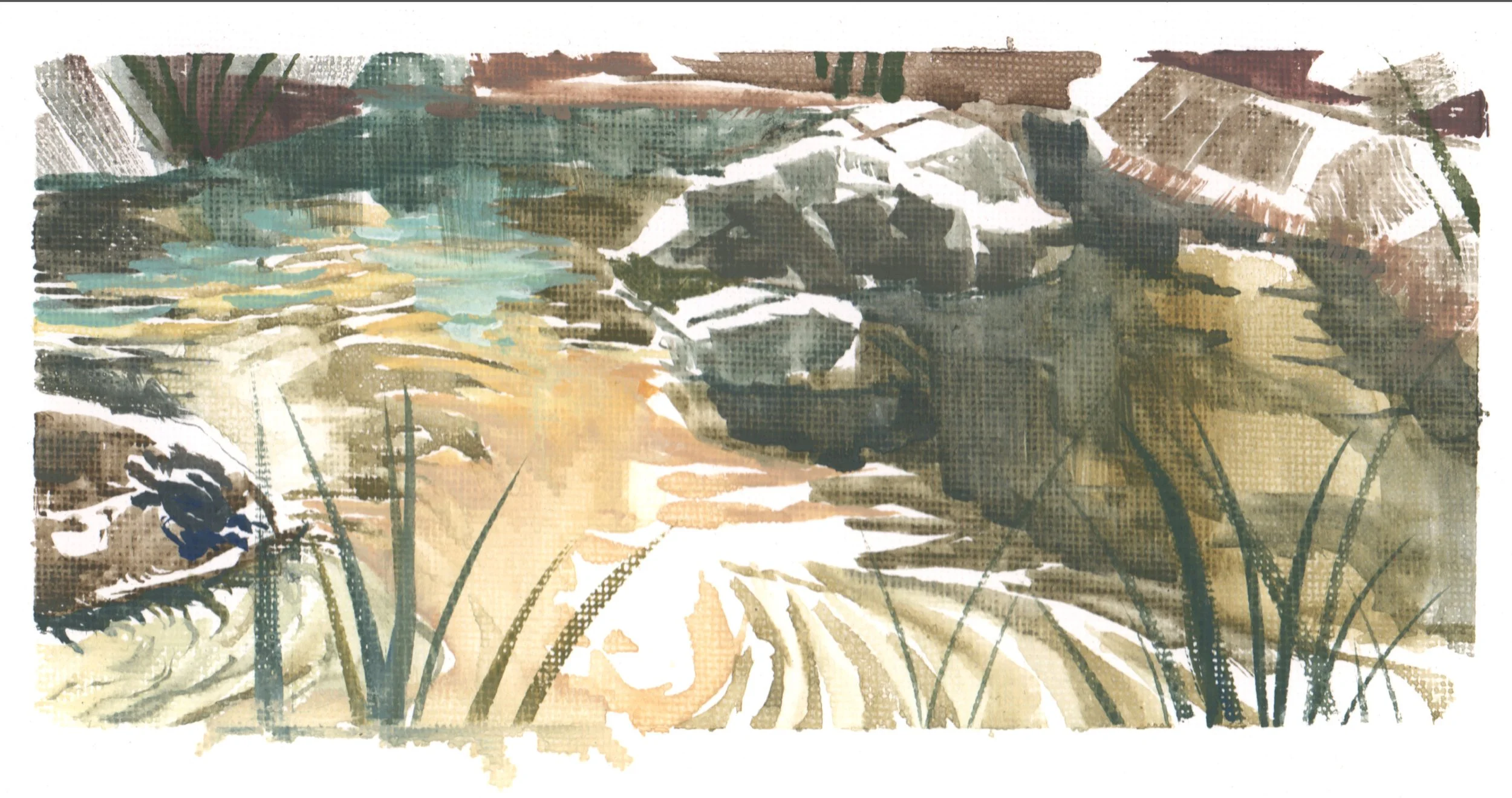 PleinAirpril2026_9_CaltechTurtlePond.jpg