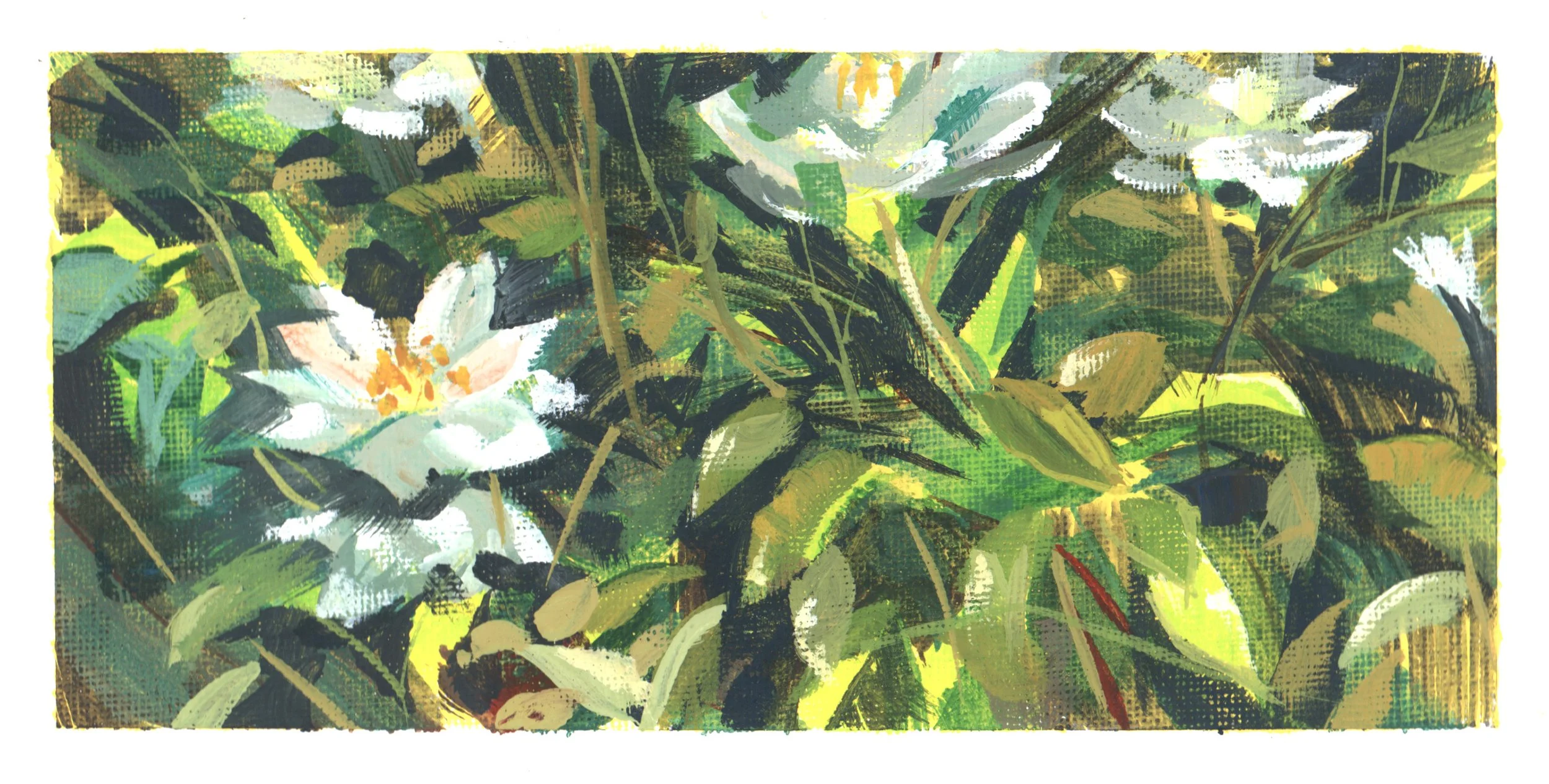 PleinAirpril2026_10_WhiteRoses.jpg