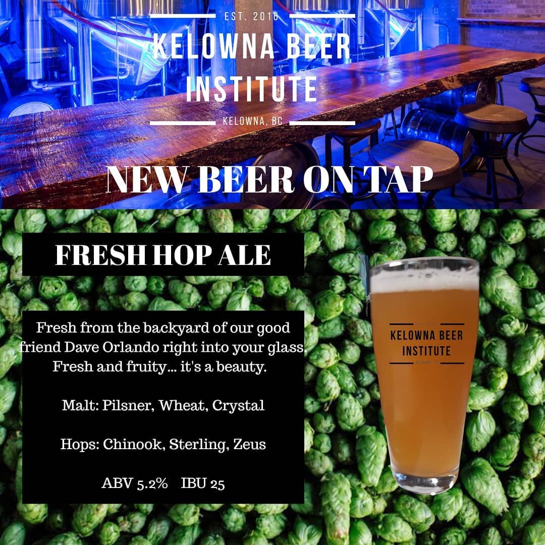 Fresh Hop Ale is now on tap!

Hops grown in Kelowna by @dave12orlando, hops picked off the vine by our team of beer geeks @lorabobora and @ericgemp, then brewed by Dave the next day. Now after 25 days of conditioning in our tanks it is now ready for 